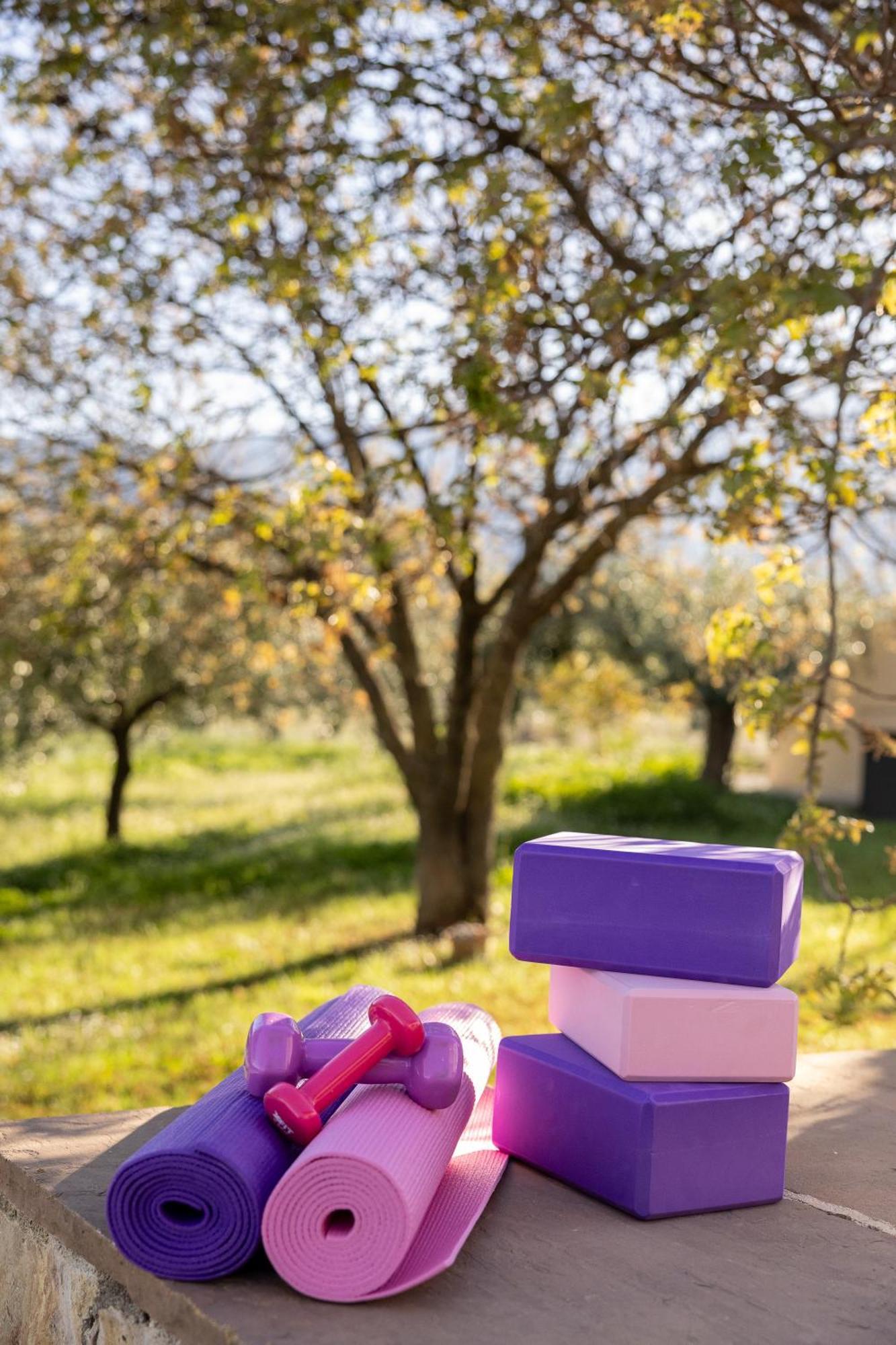 Οlives And Vines All Seasons Villa Litochoro Exterior photo